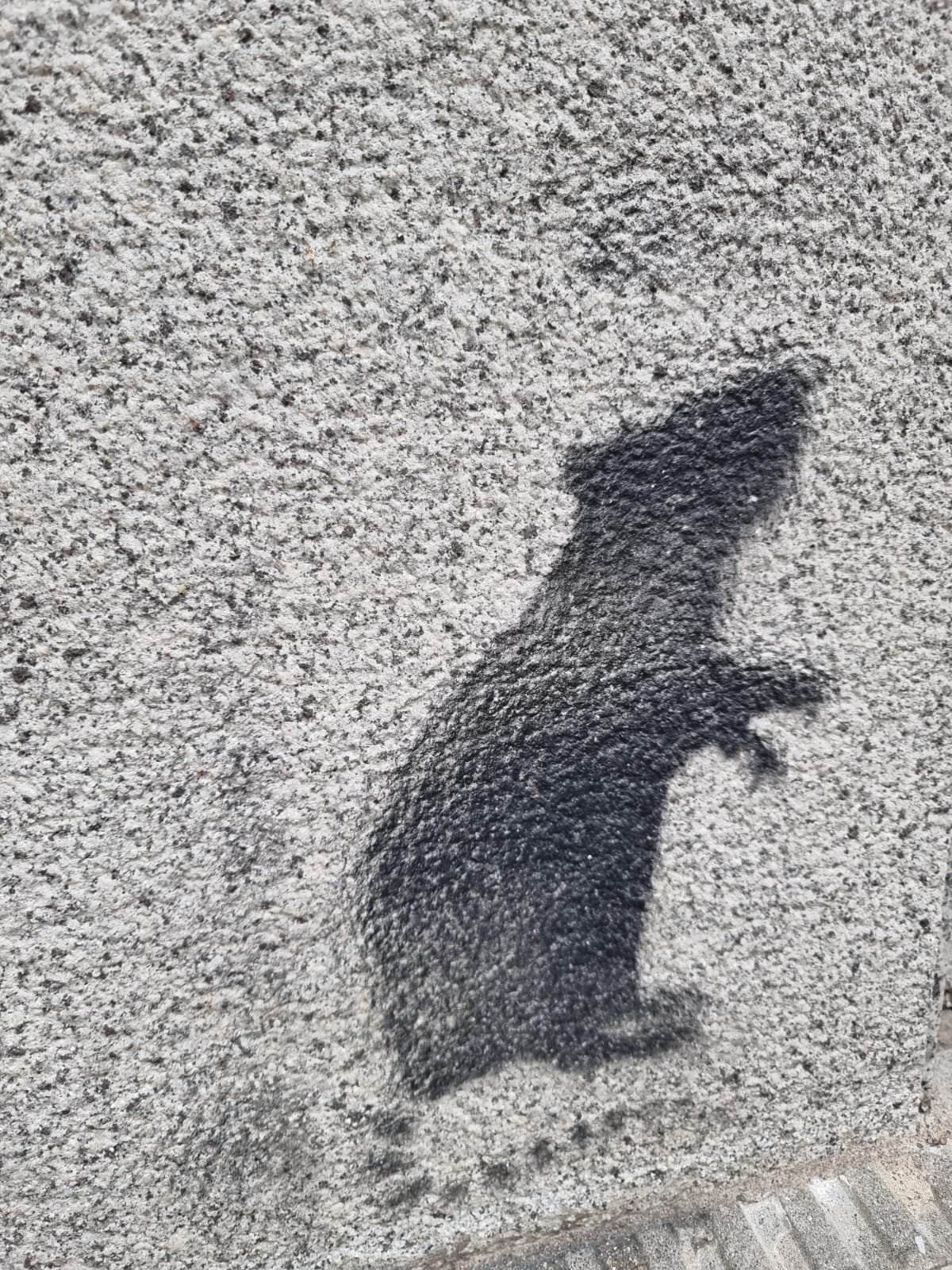 Silueta pintada de una rata